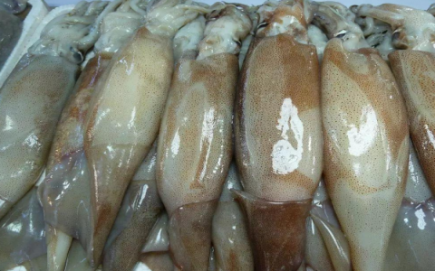 不可思議，食物竟然也會甲醛超標？